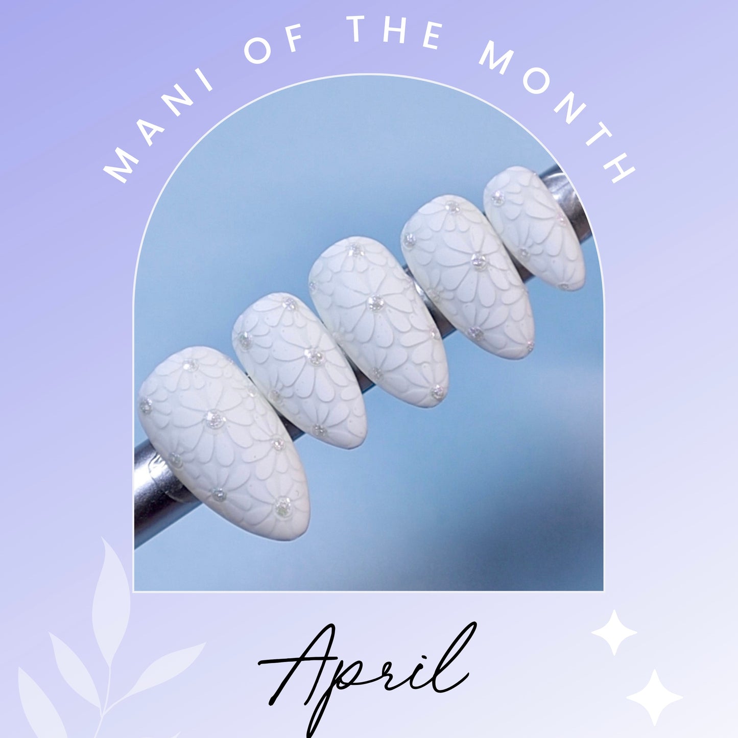 Mani Of The Month - Subscription