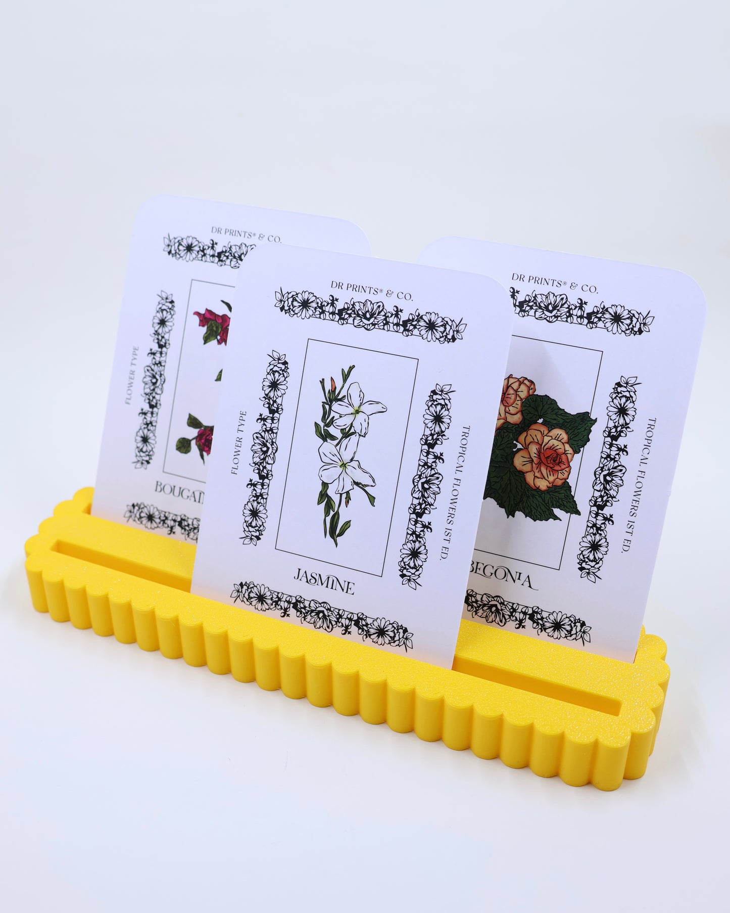 Mini Postcard Display Rack