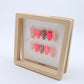 Nail Storage Box